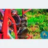 Доильный аппарат Melasty TKKC 4-PS, передвижной, для 40 коз в час Доильный аппарат Melasty TKKC 4-PS, передвижной, для 40 коз в час